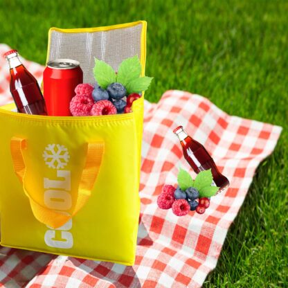 Torba Termiczna Termoizolacyjna Na Jedzenie Plażowa Lodówka Turystyczna 24L - obrazek 5